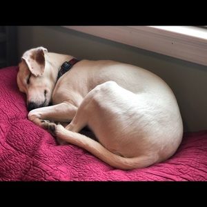 Meet your Posher, Theresa